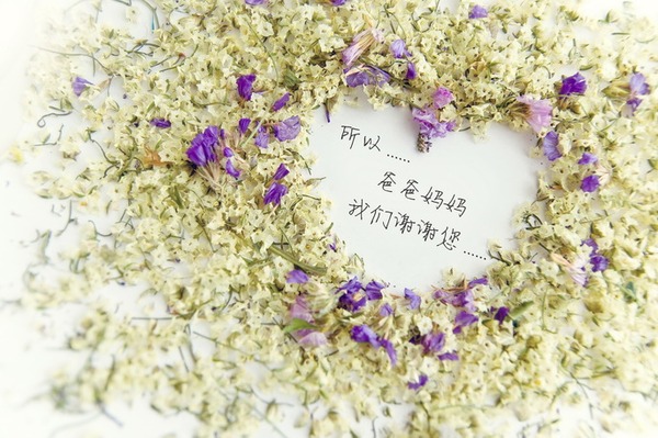 合格父母考级