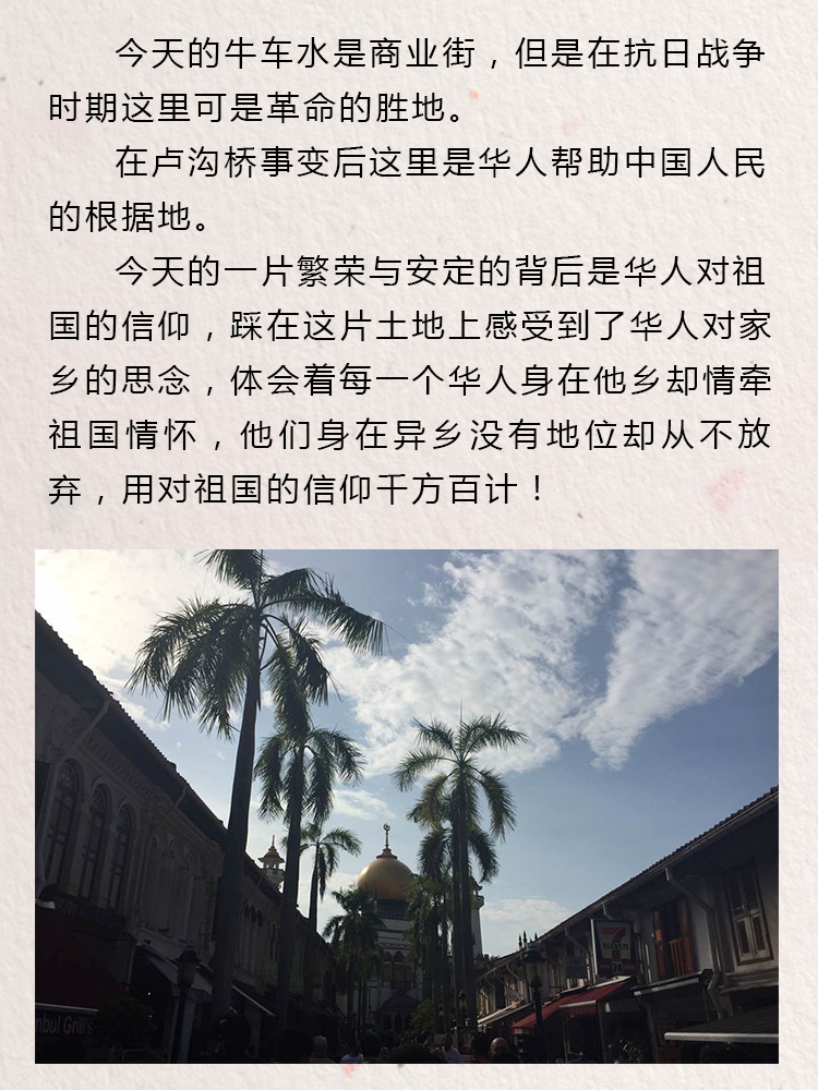 少年演讲家新加坡游学赢