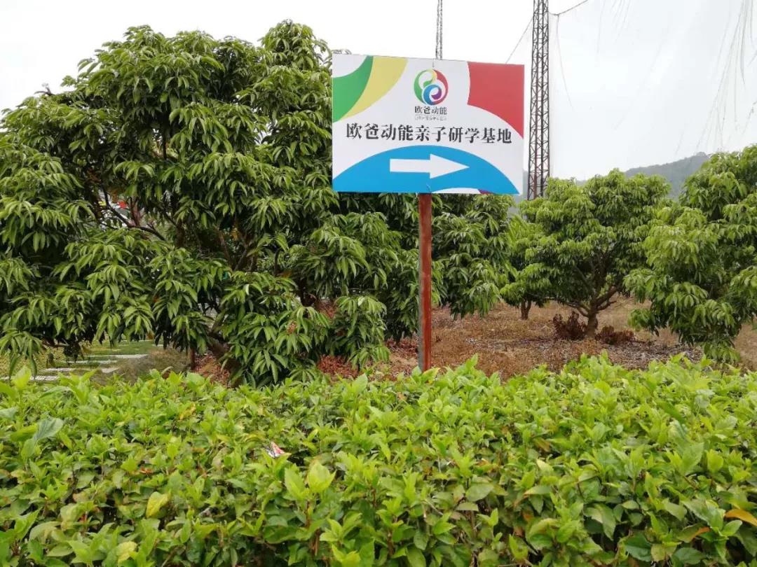 欧爸动能
