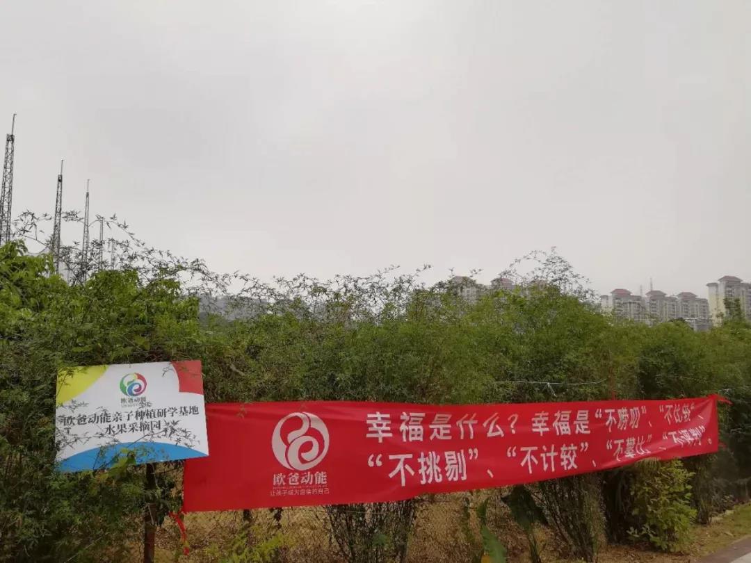 欧爸动能