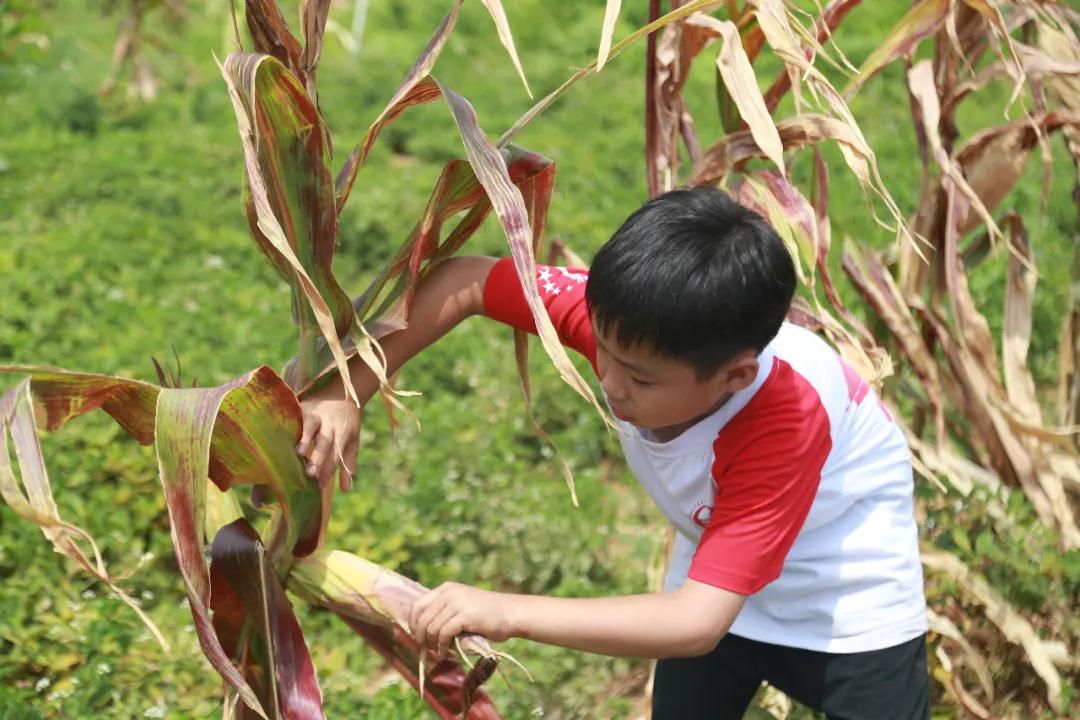 欧爸动能·少年演讲家苦信赢